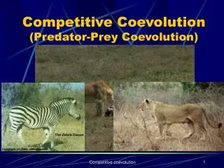 Competitive Coevolution (Predator-Prey Coevolution)
