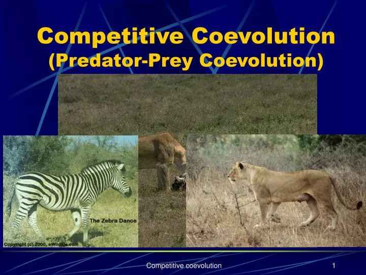 competitive coevolution predator prey coevolution