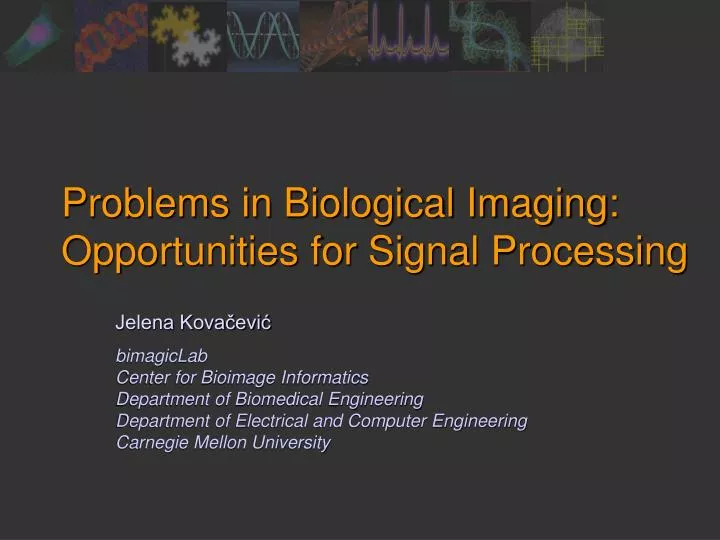 problems in biological imaging opportunities for signal processing