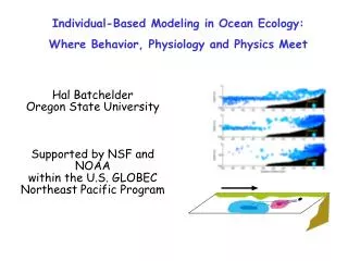 Individual-Based Modeling in Ocean Ecology: Where Behavior, Physiology and Physics Meet