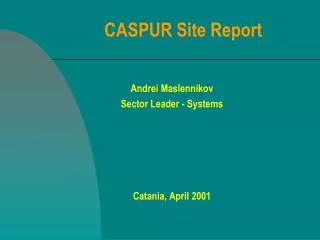 CASPUR Site Report