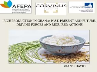 RICE PRODUCTION IN GHANA: PAST, PRESENT AND FUTURE. DRIVING FORCES AND REQUIRED ACTIONS