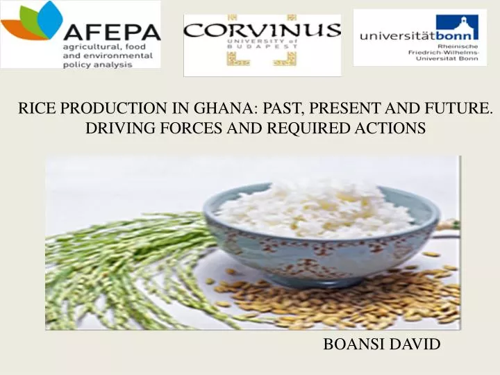 rice production in ghana past present and future driving forces and required actions