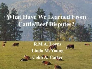 What Have We Learned From Cattle/Beef Disputes?