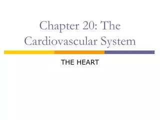Chapter 20: The Cardiovascular System