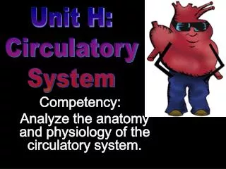 Competency:	 Analyze the anatomy and physiology of the circulatory system.