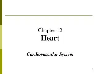 Chapter 12 Heart Cardiovascular System