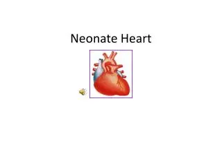 Neonate Heart
