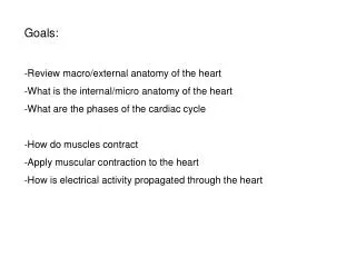 Goals: Review macro/external anatomy of the heart What is the internal/micro anatomy of the heart