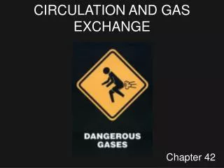 CIRCULATION AND GAS EXCHANGE