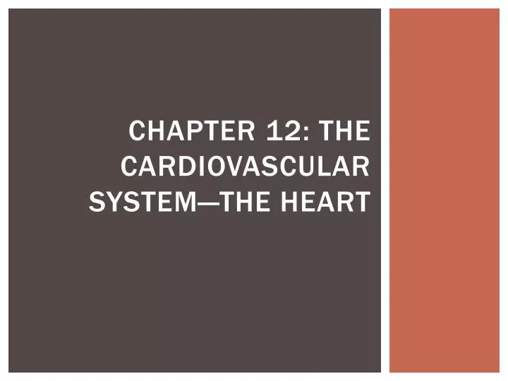 chapter 12 the cardiovascular system the heart