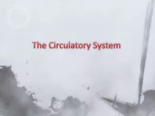 The Circulatory System