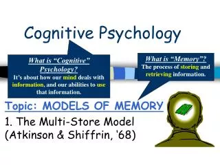 Cognitive Psychology
