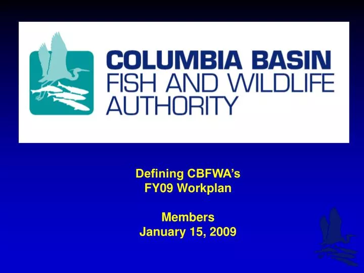 defining cbfwa s fy09 workplan members january 15 2009