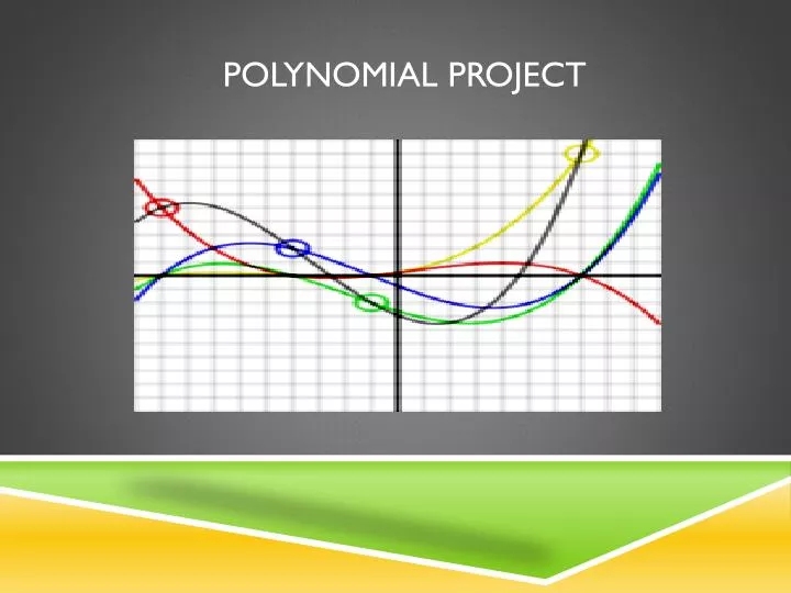 polynomial project