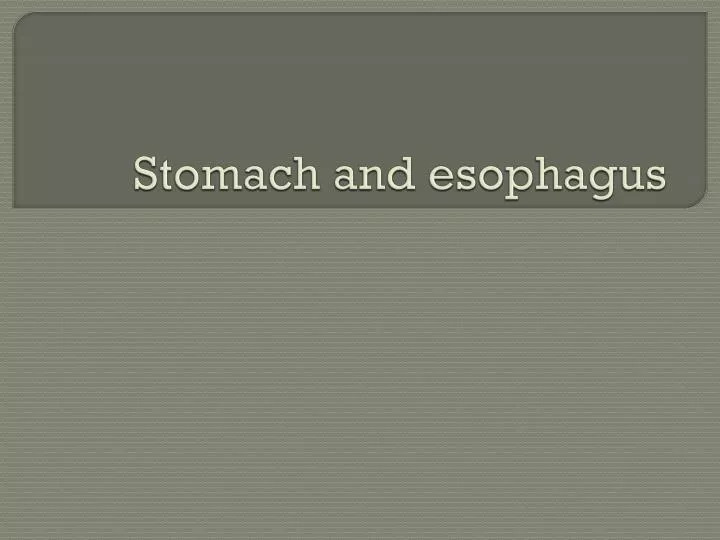 stomach and esophagus