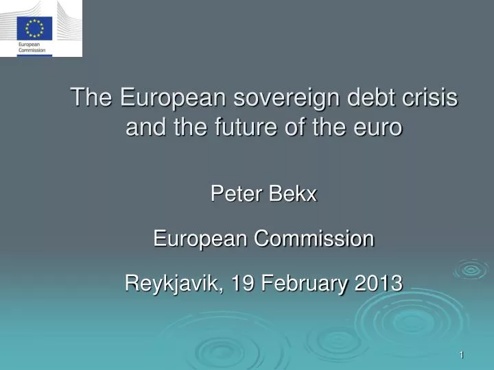 the european sovereign debt crisis and the future of the euro