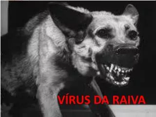 v rus da raiva