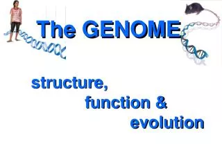 The GENOME