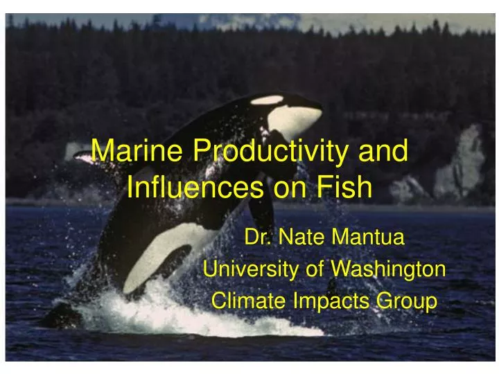 marine productivity and influences on fish