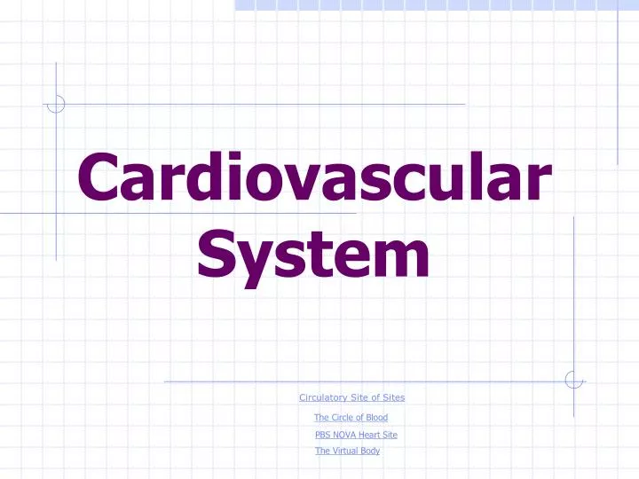 cardiovascular system