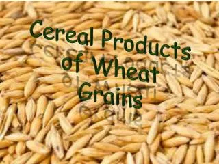 Cereal P roducts of Wheat Grains