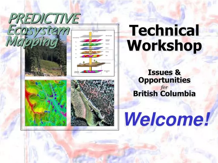 technical workshop issues opportunities for british columbia