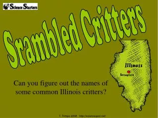 Can you figure out the names of some common Illinois critters?