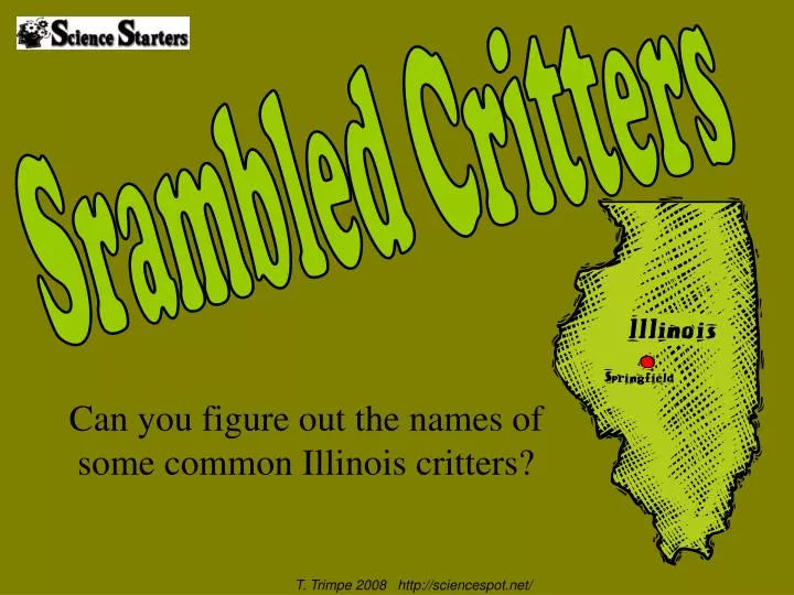 can you figure out the names of some common illinois critters