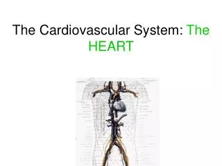 The Cardiovascular System: The HEART