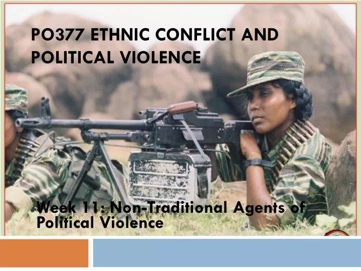 po377 ethnic conflict and political violence