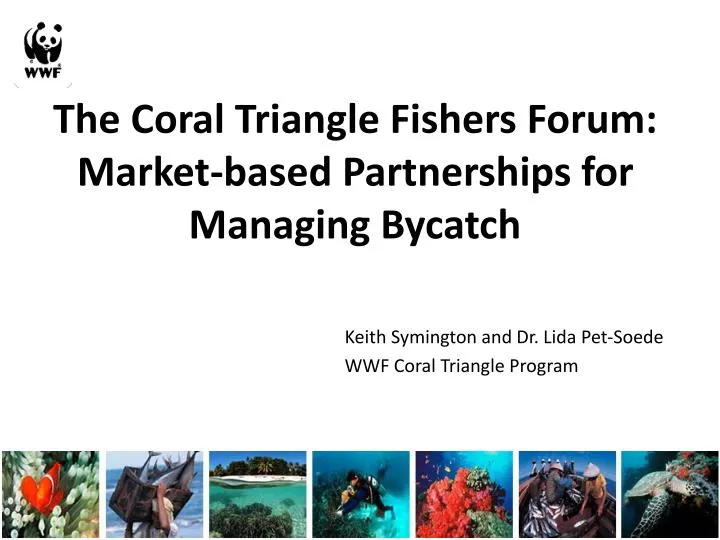 the coral triangle fishers forum market based partnerships for managing bycatch