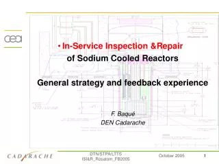 In-Service Inspection &amp;Repair of Sodium Cooled Reactors General strategy and feedback experience