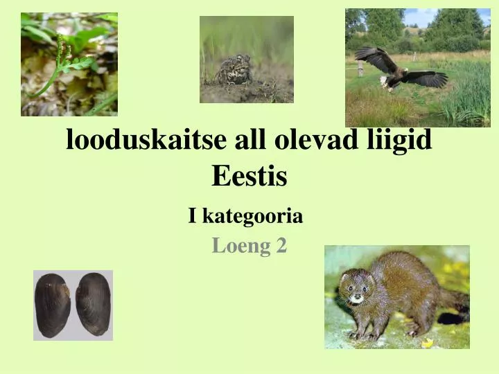 looduskaitse all olevad liigid eestis