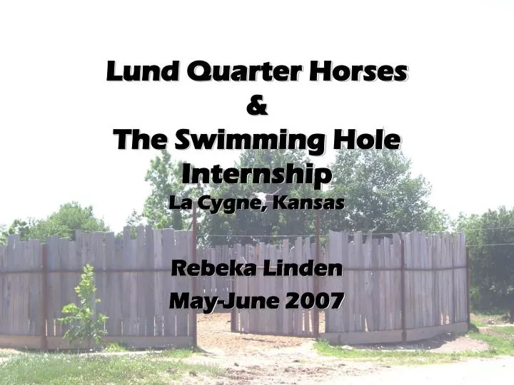 lund quarter horses the swimming hole internship la cygne kansas
