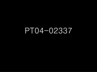 pt04 02337
