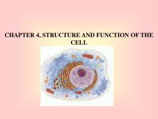 CHAPTER 4, STRUCTURE AND FUNCTION OF THE CELL
