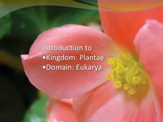 Introduction to Kingdom: Plantae Domain: Eukarya