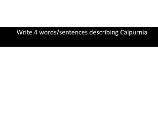 Write 4 words/sentences describing Calpurnia