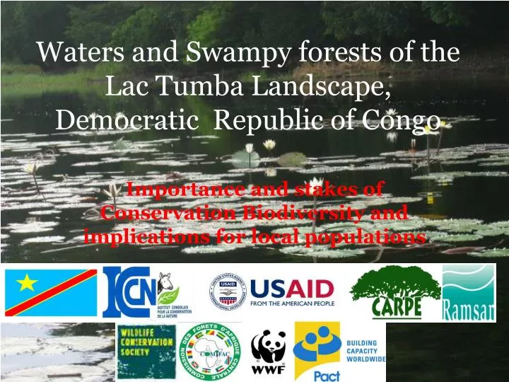 waters and swampy forests of the lac tumba landscape democratic republic of congo