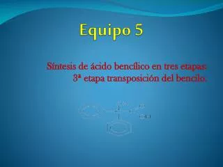 equipo 5