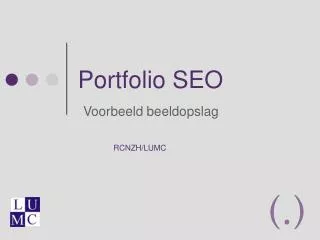 portfolio seo