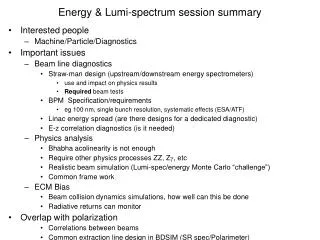 Energy &amp; Lumi-spectrum session summary