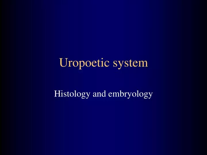 uropoetic system