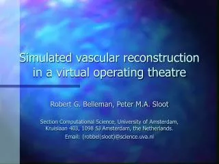 Simulated vascular reconstruction in a virtual operating theatre