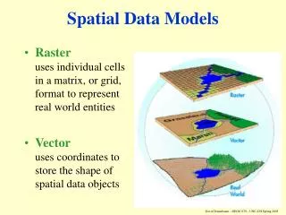 Spatial Data Models