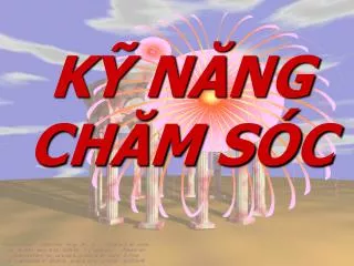 k n ng ch m s c
