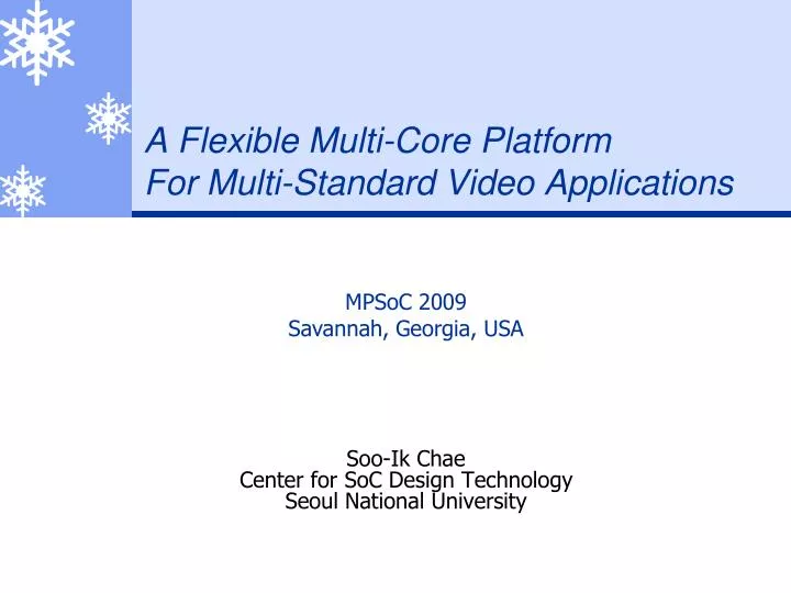 a flexible multi core platform for multi standard video applications