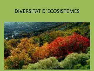 diversitat d ecosistemes