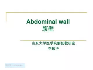 Abdominal wall ??